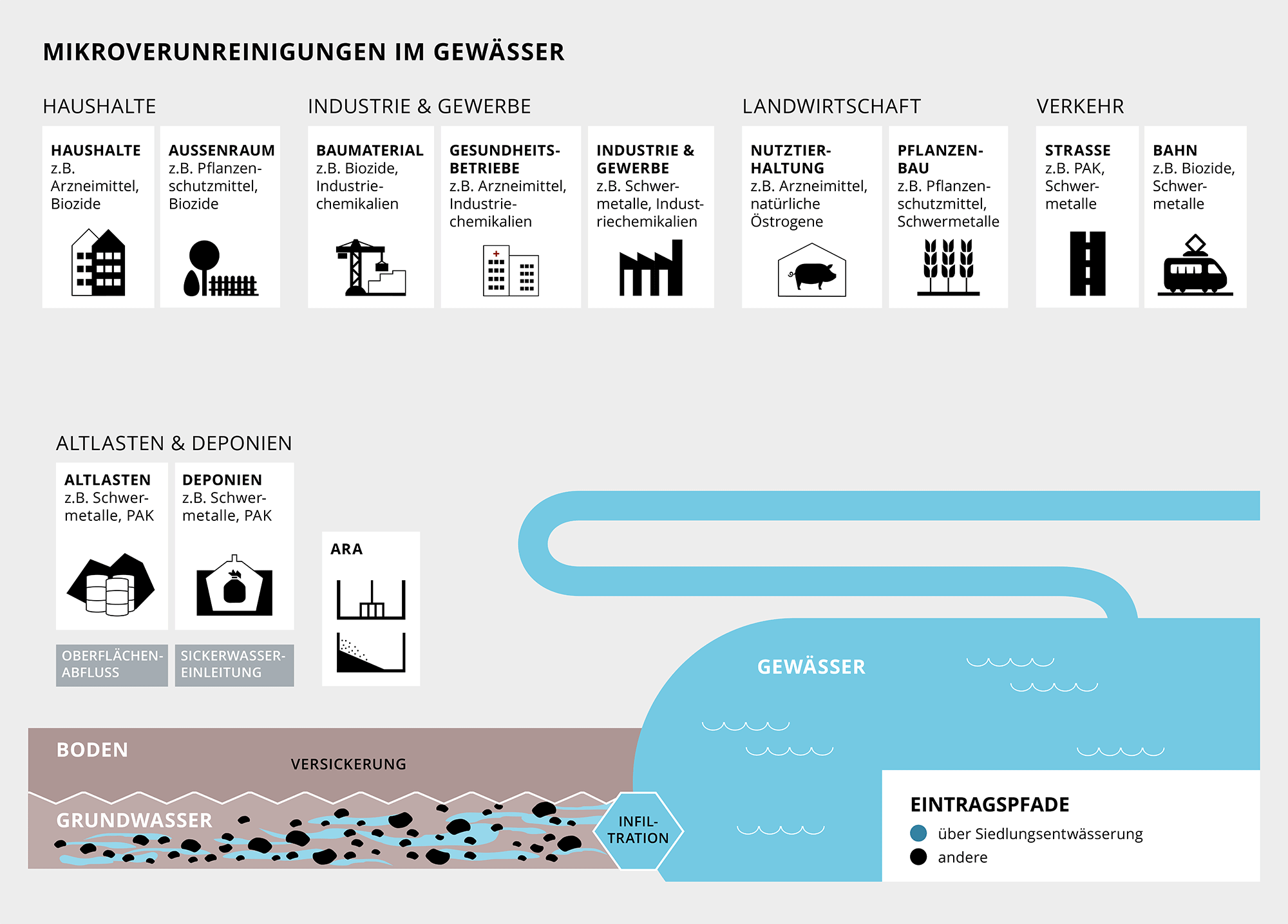 Animierte Infografik Mikroverunreinigung