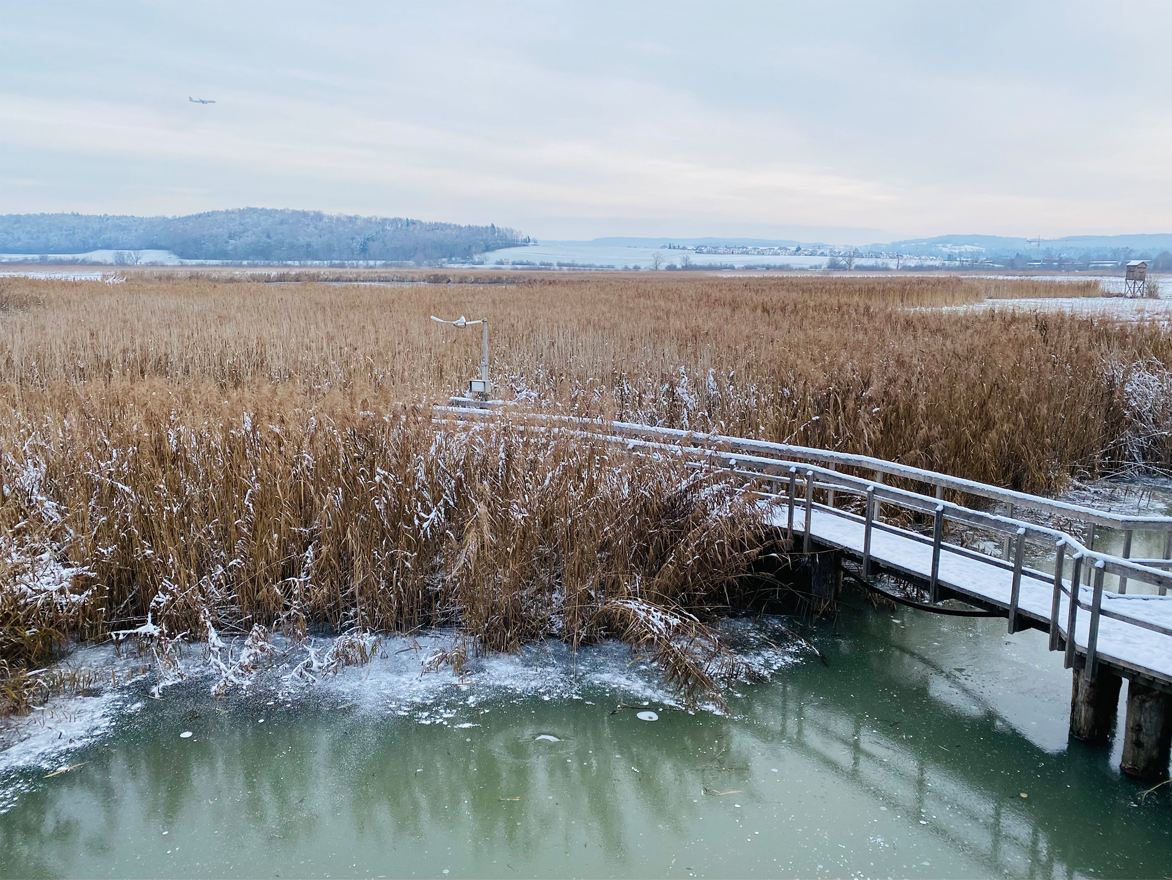 Neeracherried, BirdLife Besucherzentrum