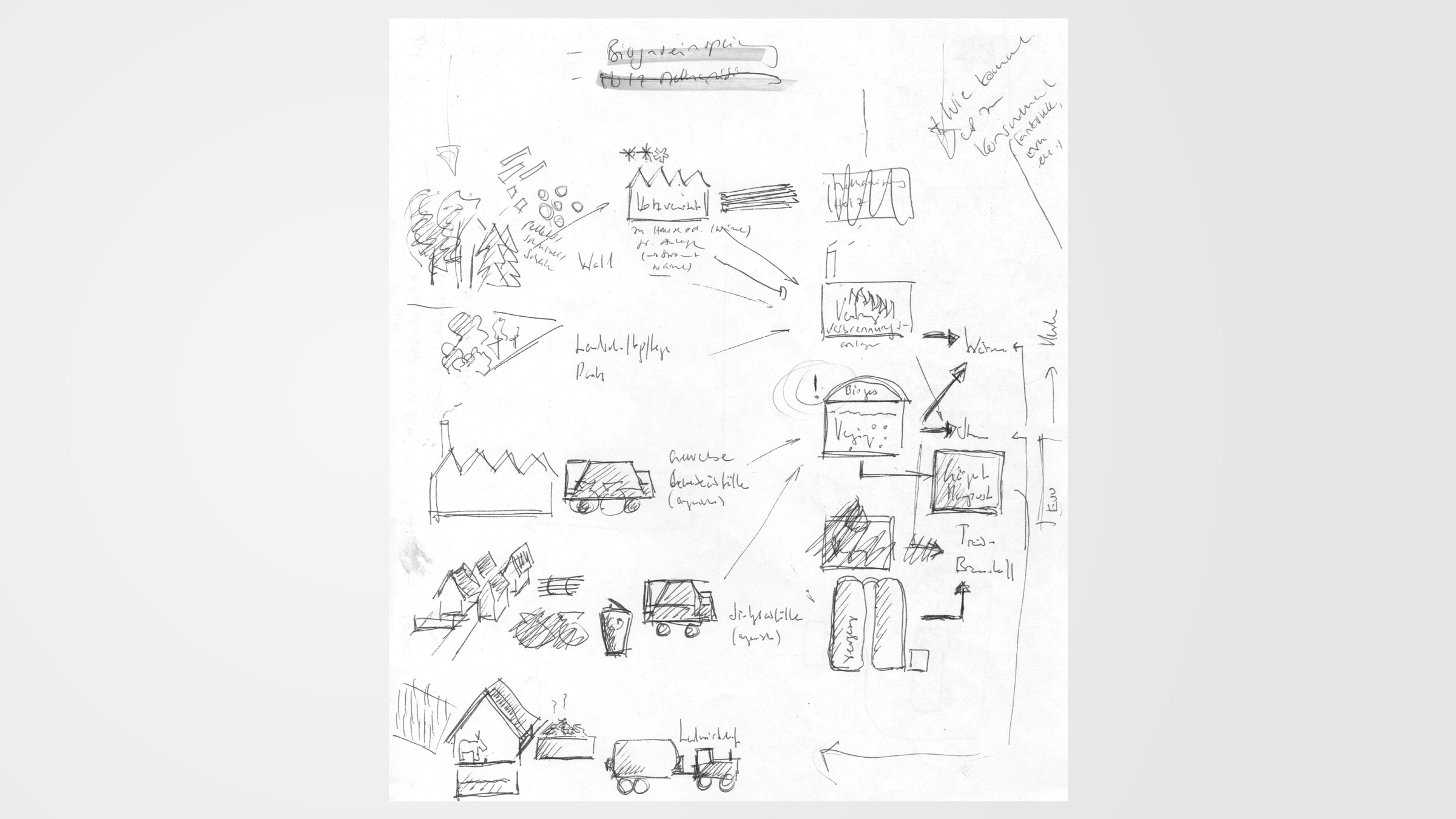 Biomasse Entwicklungsschritte 1