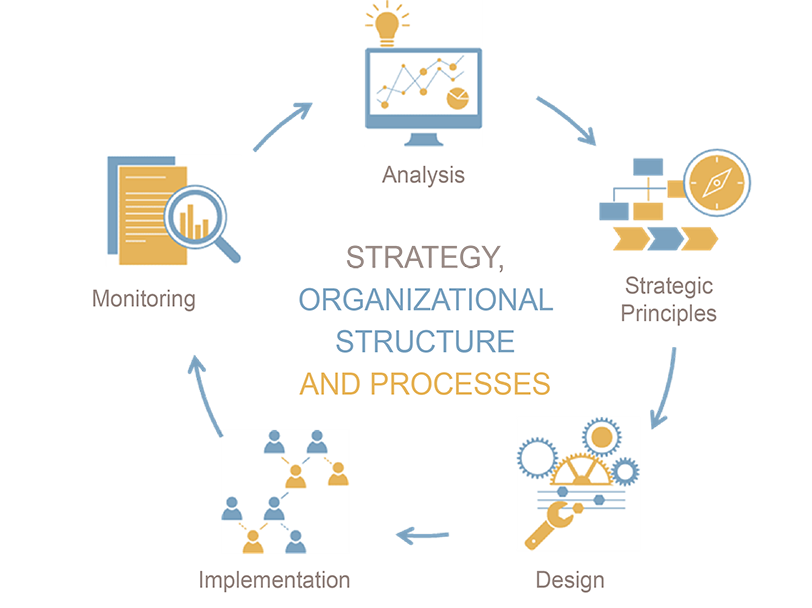Strategie, Organisation und Prozesse