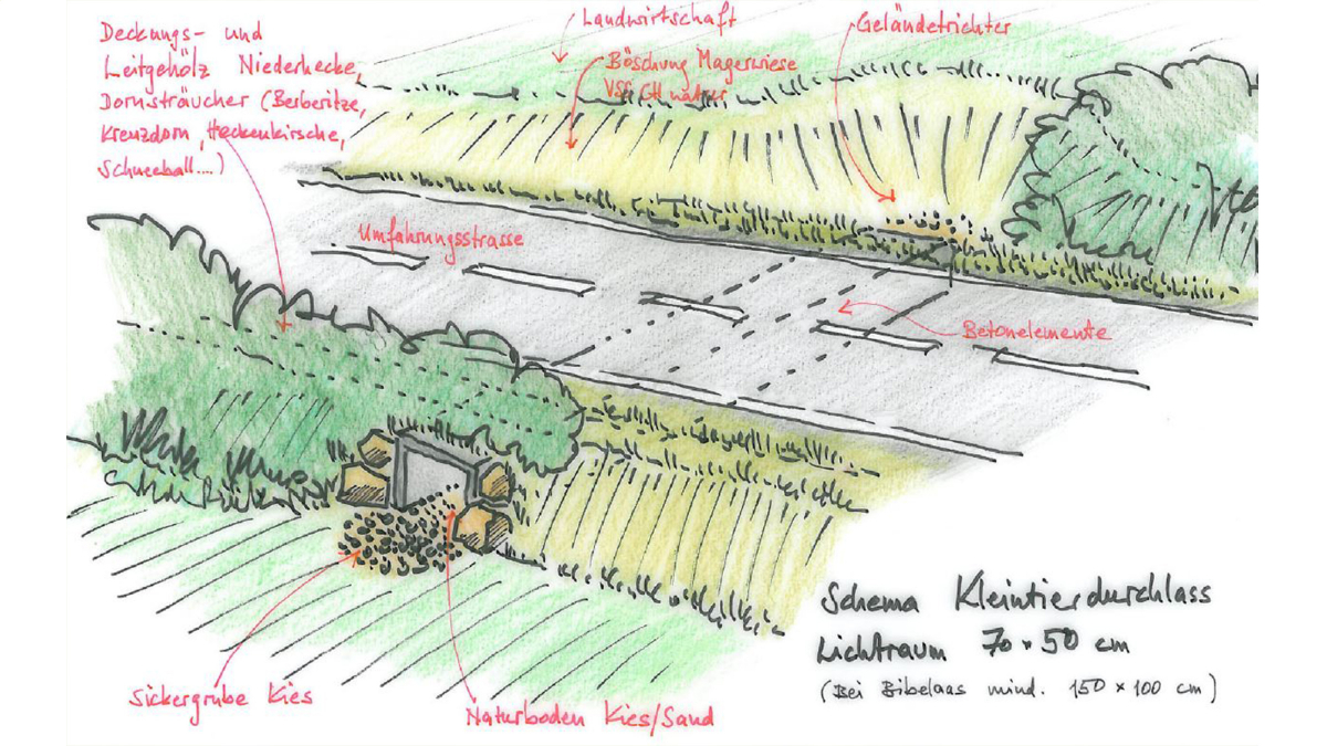 Sketch plan of an ecopassage for small animals