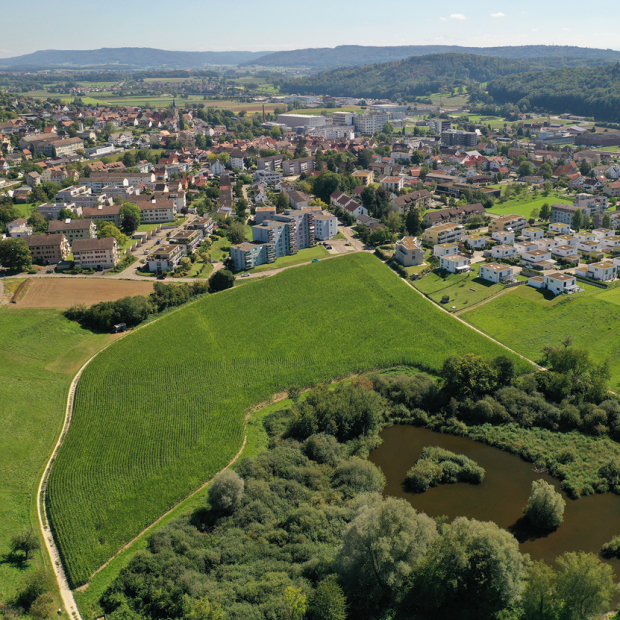 Siedlungsentwicklung Thayngen