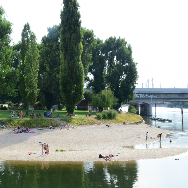 Birsköpfli Basel