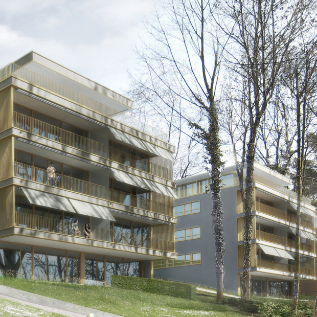 Ersatzneubauten Winzerhalde