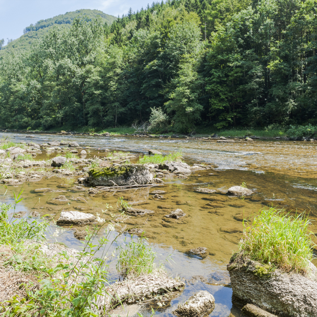 Fluss