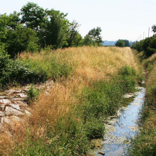 Flood Corridors