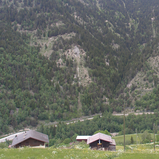 Bader protective forest