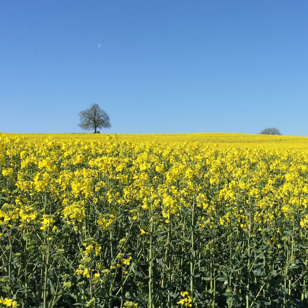 Agroscope SALCAfuture