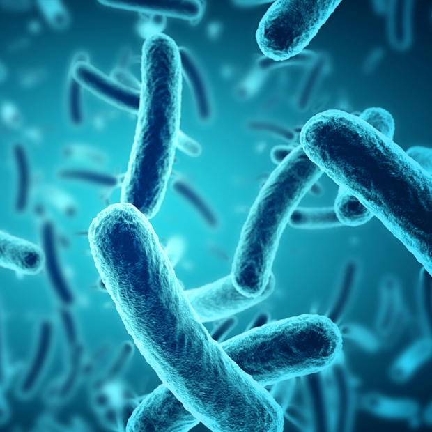 Biologische Risiken Schweiz