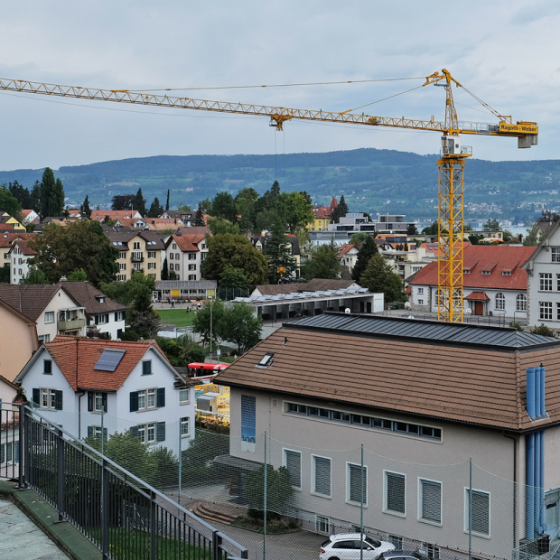 Studie «Wie wohnt Wädenswil?»