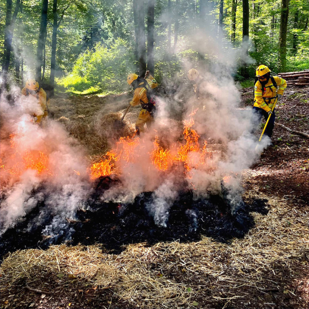 Auswirkungen des Klimawandels auf den Bevölkerungsschutz