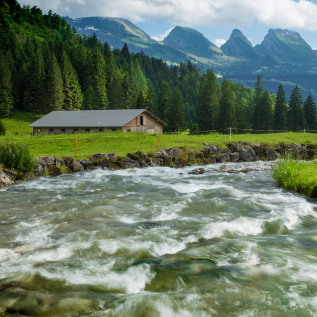 Regional assessment of water scarcity in the Canton of St. Gallen