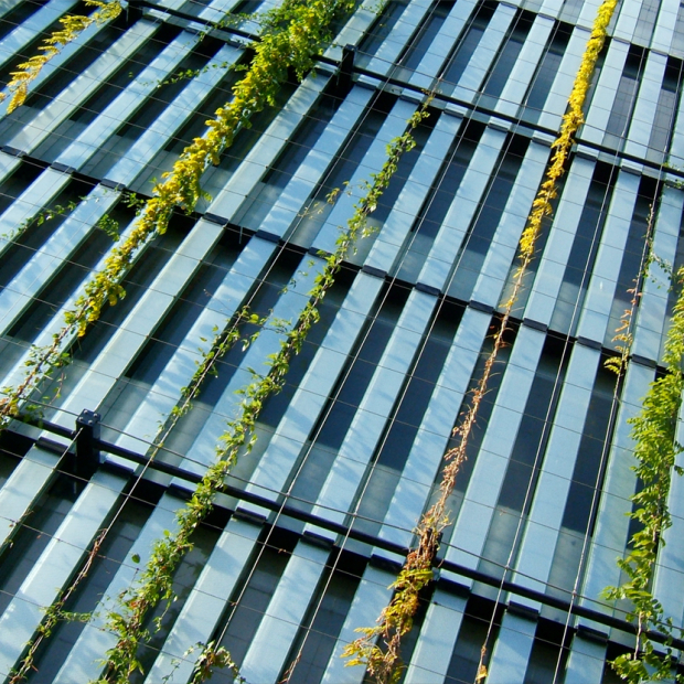 Klimaanpassung Stadt Zürich