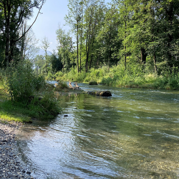 Postulatsbeantwortung Wassernutzung