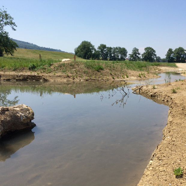 Introduction of the stream Gheid, through the alluvial forest space into the Dünnern River