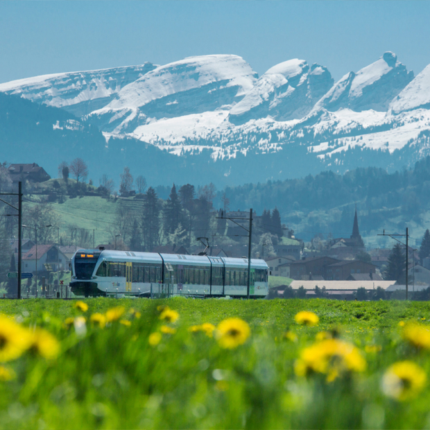 Operational stability Wattwil - Nesslau-Neu St. Johann