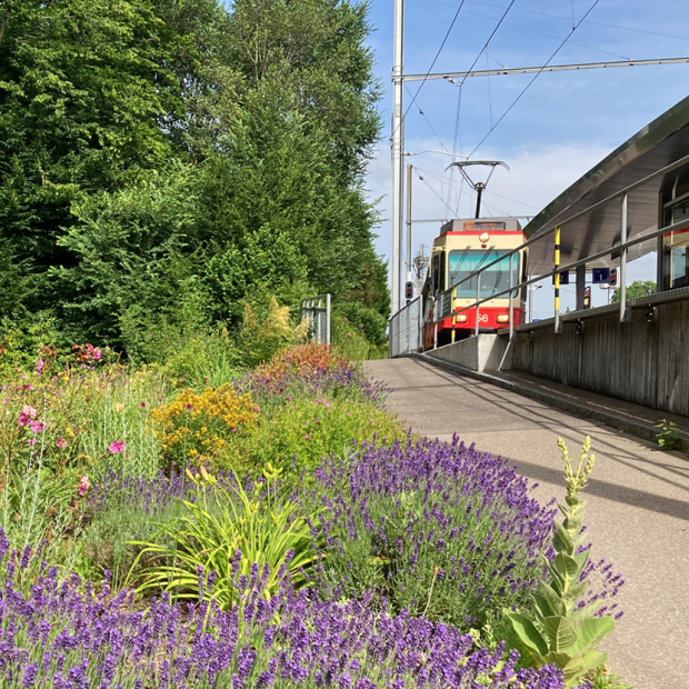Station Zollikerberg