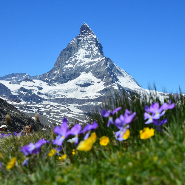 Tourismuspolitik des Bundes