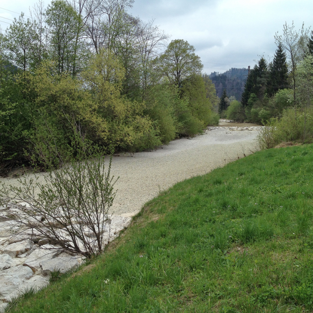 Auswirkungen und Bewältigung der Trockenheit